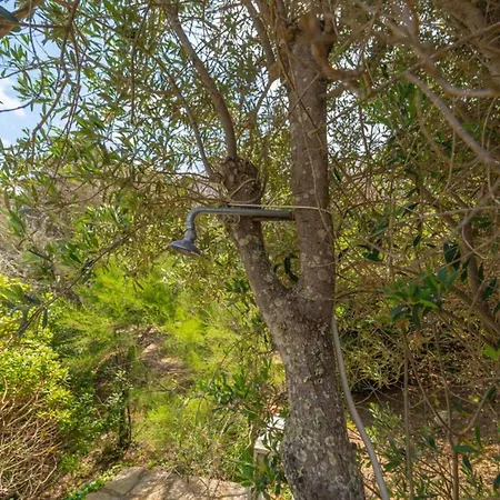 Hébergement de vacances Affittasardegna-casa La Pelosa 2 Stintino